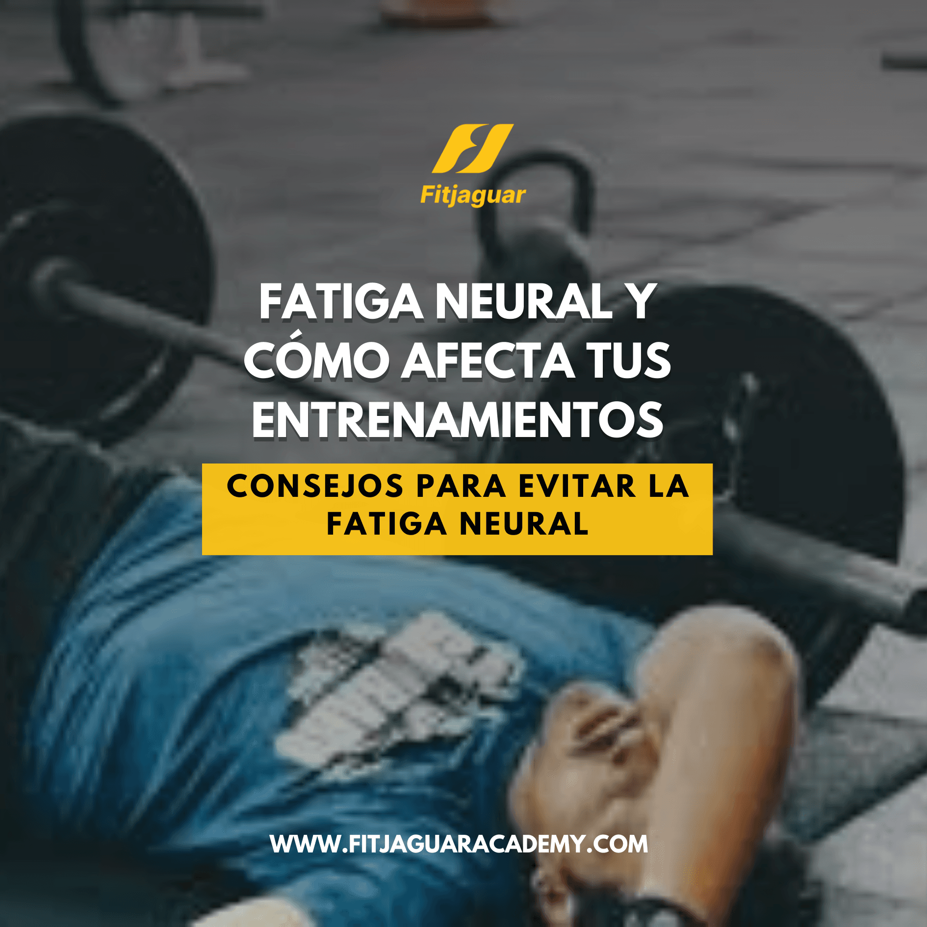fatiga-neural-y-como-afecta-tus-entrenamiento